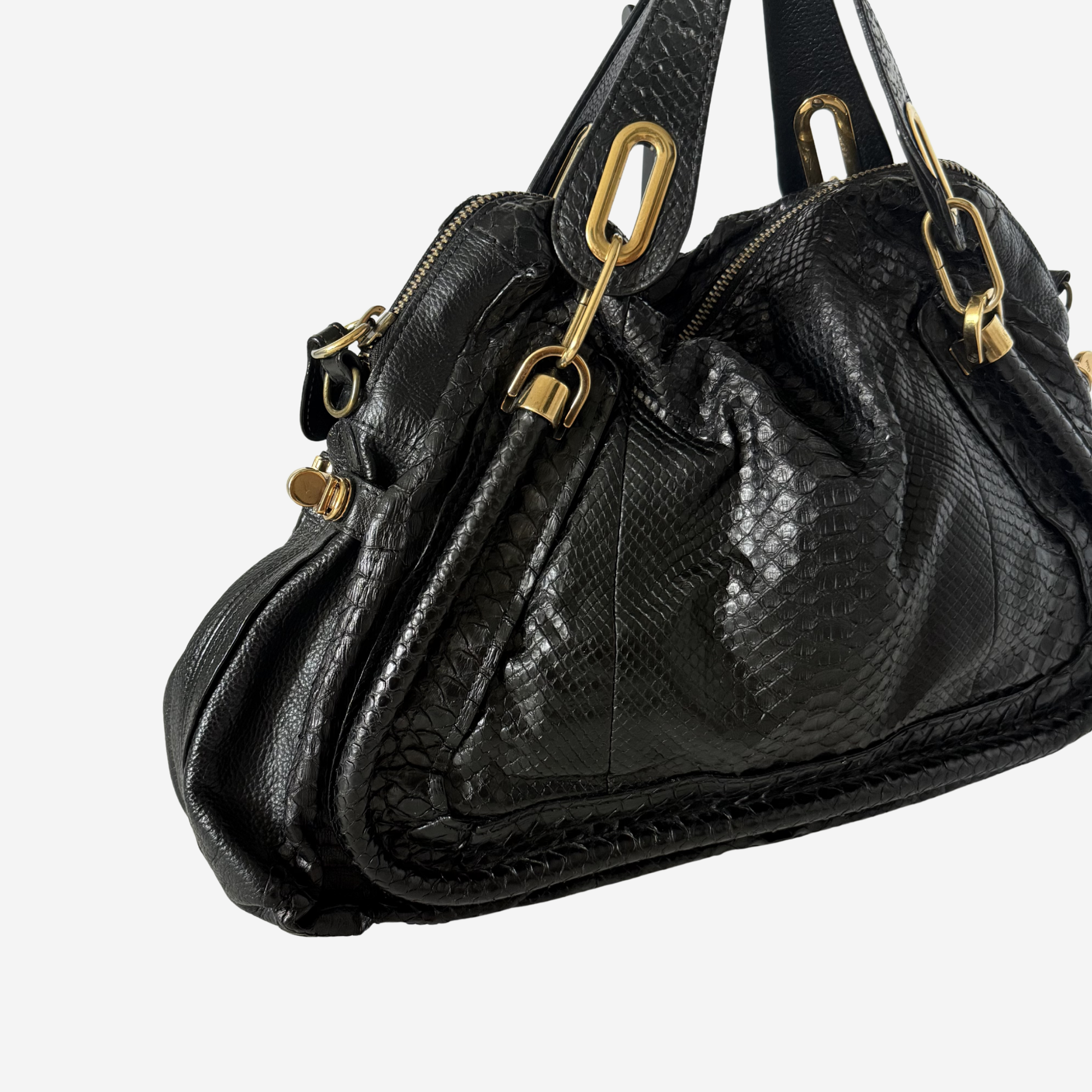 2011 Large Paraty Python